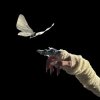 Pochette The Temper Trap - Sweet Disposition (ARTBAT Remix) The Temper Trap - Sweet Disposition (ARTBAT Remix)
