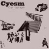 Pochette Cyesm - Our Leaders Cyesm - Our Leaders
