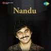 Pochette Nandu - Forever In Our Favor Nandu - Forever In Our Favor