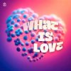 Pochette SYNFLO & Niki Four - What Is Love SYNFLO & Niki Four - What Is Love