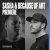 Pochette Sasha feat. Because Of Art - Fused