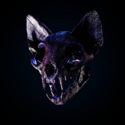 Pochette Darci - Wild Horse