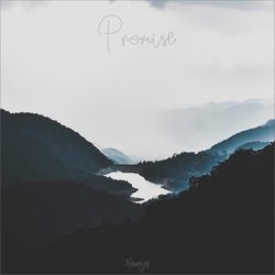 Pochette Nomyn - Promise