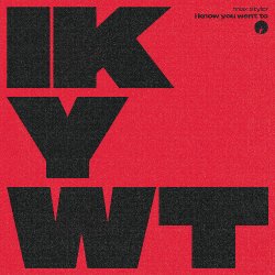 Pochette Max Styler - I Know You Want To
