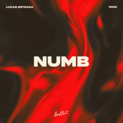 Pochette Lucas Estrada & Modi - Numb