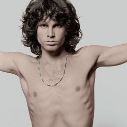 Pochette The Doors - The End