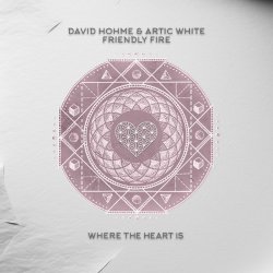 Pochette David Hohme & Artic White - Friendly Fire