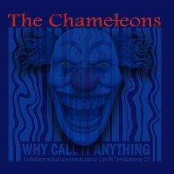 Pochette The Chameleons - Indiana