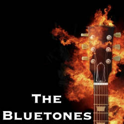 Pochette The Bluetones - String Along