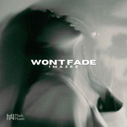 Pochette Imazee - Won't Fade (Original Mix)