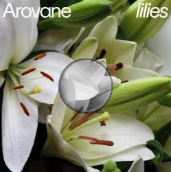 Pochette Arovane - Pink Lilies