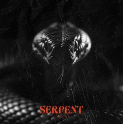 Pochette Sam Tinnesz & Tommee Profitt - Serpent