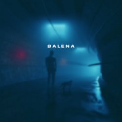 Pochette skyfall beats - balena