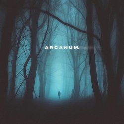 Pochette skyfall beats, silent anthem - arcanum