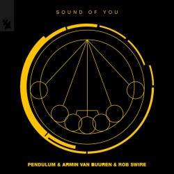 Pochette Pendulum & Armin van Buuren & Rob Swire - Sound of You