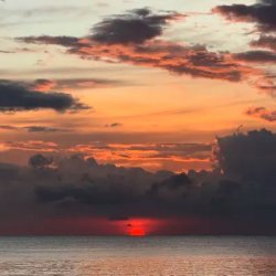 Pochette Alex Kontsov & Sun - The Rapture Pt.IV