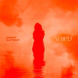 Pochette Dony & DJ TAVY - WIIRU