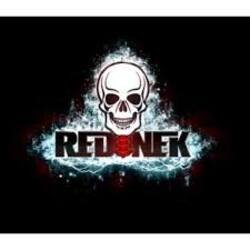 Pochette Rednek - Dub Island
