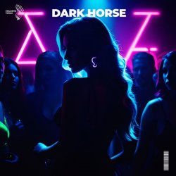Pochette Slawd & Vallvete - dark horse (slowed + reverb)