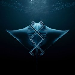 Pochette KREAM - Manta