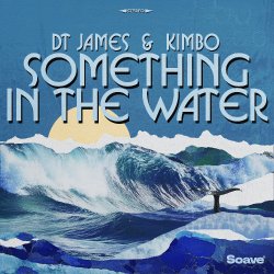 Pochette DT James & Kimbo - Something In The Water