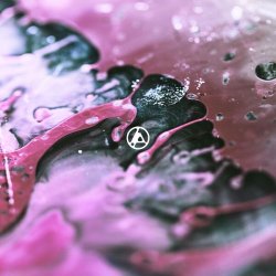 Pochette Linkin Park - Heavy Is the Crown