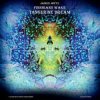 Pochette Tangerine Dream - Tear Down The Grey Skies Tangerine Dream - Tear Down The Grey Skies