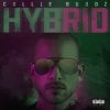 Pochette Hybrid - Break My Soul Hybrid - Break My Soul