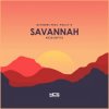 Pochette Savannah - The Question Savannah - The Question