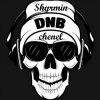Pochette Dirtyphonics - Scorpion (Tantrum Desire Remix) Dirtyphonics - Scorpion (Tantrum Desire Remix)