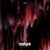 Pochette Calyx - Scavenger Calyx - Scavenger