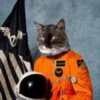 Pochette Klaxons - Twin Flames Klaxons - Twin Flames