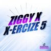 Pochette Ziggy X - Vikinx Ziggy X - Vikinx