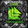BlasterJaxx - Frozen Fire