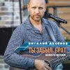 Pochette Виталий Аксенов - Ты забыл брат Виталий Аксенов - Ты забыл брат