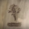 Ed Sheeran - Bloodstream