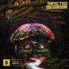 Pochette Infected Mushroom - Wanted To Infected Mushroom - Wanted To