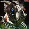 Pochette Machine Girl - Devil Speak Machine Girl - Devil Speak