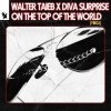Pochette Walter Taieb & Diva Surprise - On the Top of the World (YMCA) Walter Taieb & Diva Surprise - On the Top of the World (YMCA)