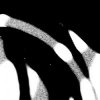 Pochette Cardopusher - Flesh Impact Cardopusher - Flesh Impact