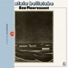 Pochette Alain Bellaiche - Sea Fluorescent Alain Bellaiche - Sea Fluorescent