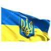 Pochette Nokturnal Mortum - Гимн Украины Nokturnal Mortum - Гимн Украины