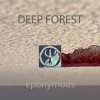 Pochette Deep Forest - Night Bird Deep Forest - Night Bird
