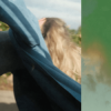 Pochette AVAION & oskar med k - Can't find you AVAION & oskar med k - Can't find you