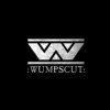 Pochette Wumpscut - Rumpelkammer Wumpscut - Rumpelkammer