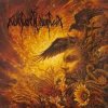 Pochette Nokturnal Mortum - Печаль родных земель Nokturnal Mortum - Печаль родных земель