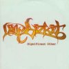 Pochette Limp Bizkit - 9 Teen 90 Nine Limp Bizkit - 9 Teen 90 Nine