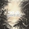 Pochette Repsaj - MONTAGEM CONTIGO (Speed Up) Repsaj - MONTAGEM CONTIGO (Speed Up)