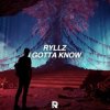 Pochette Ryllz - I Gotta Know Ryllz - I Gotta Know