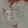 Pochette Maybeshewill - Critical Distance Maybeshewill - Critical Distance